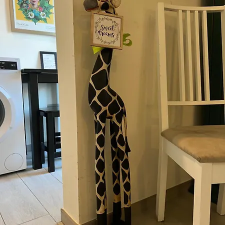 Jungle Chic Business & Fun Apartment